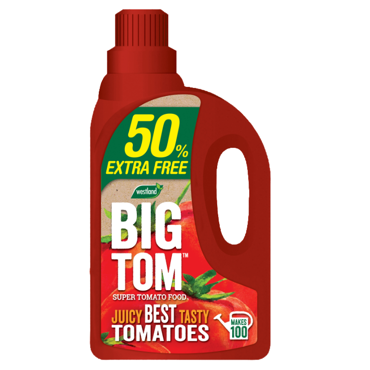Westland Big Tom Super Tomato Food 1.25L plus 50% Extra Free