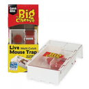 The Big Cheese Mouse Small Multi-Live Catch